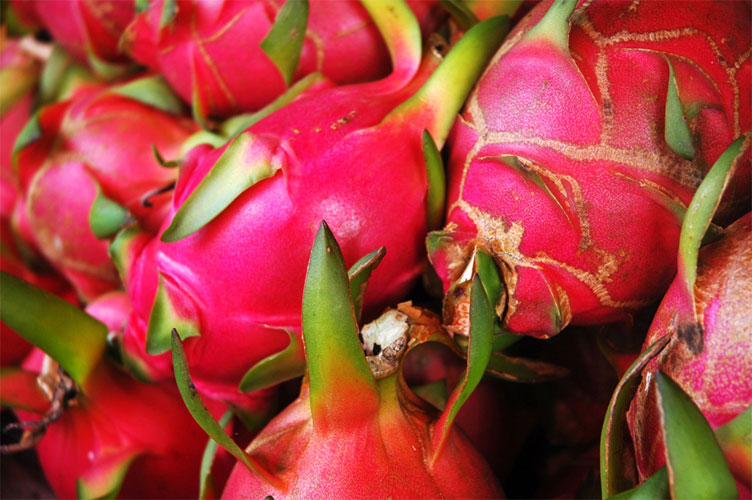 pitahaya thailand photo by boris hoekmeijer wpml expert