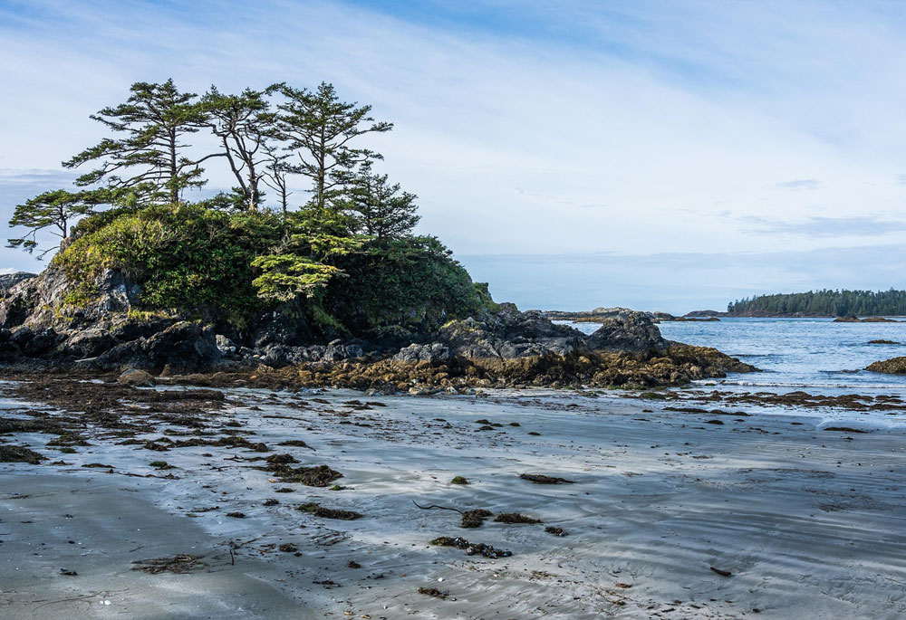 vancouver island canada wpml expert